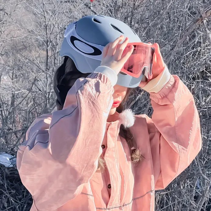 面包超人:生命之星朵莉 在线观看